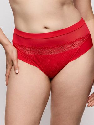 Primadonna Sophora Full Brief