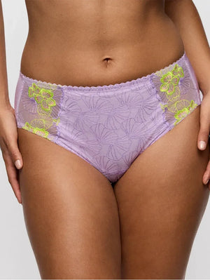 Prima Ixia Full Brief