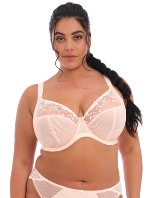 Elomi Charley Lace Plunge Bra