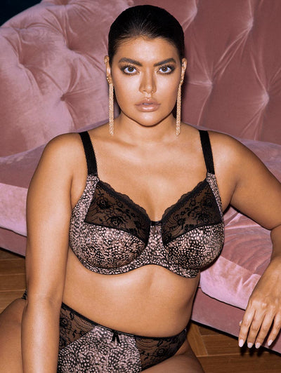 Big Size Bra Plus Size Bra 30 to 44 B or C cup Tendy Cotton Everyday Bra  Full Coverage Non Padded Big Cup Size Bra Rajom