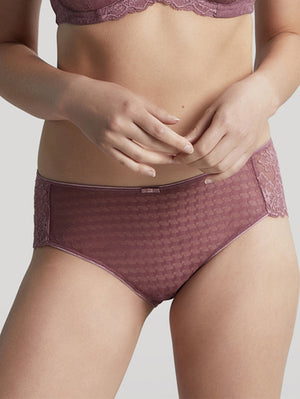 Panache Envy Brief